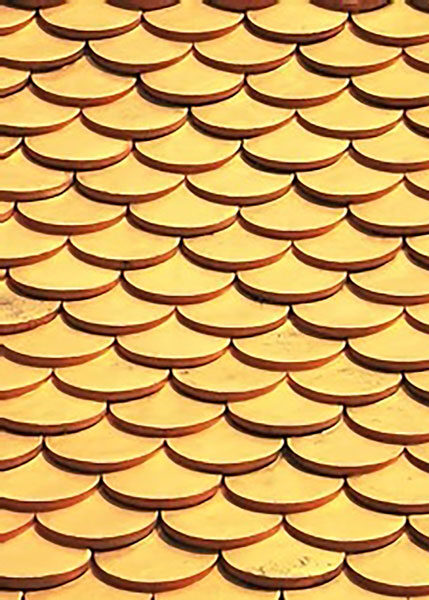 Lebenscoach Premium Paket Gold